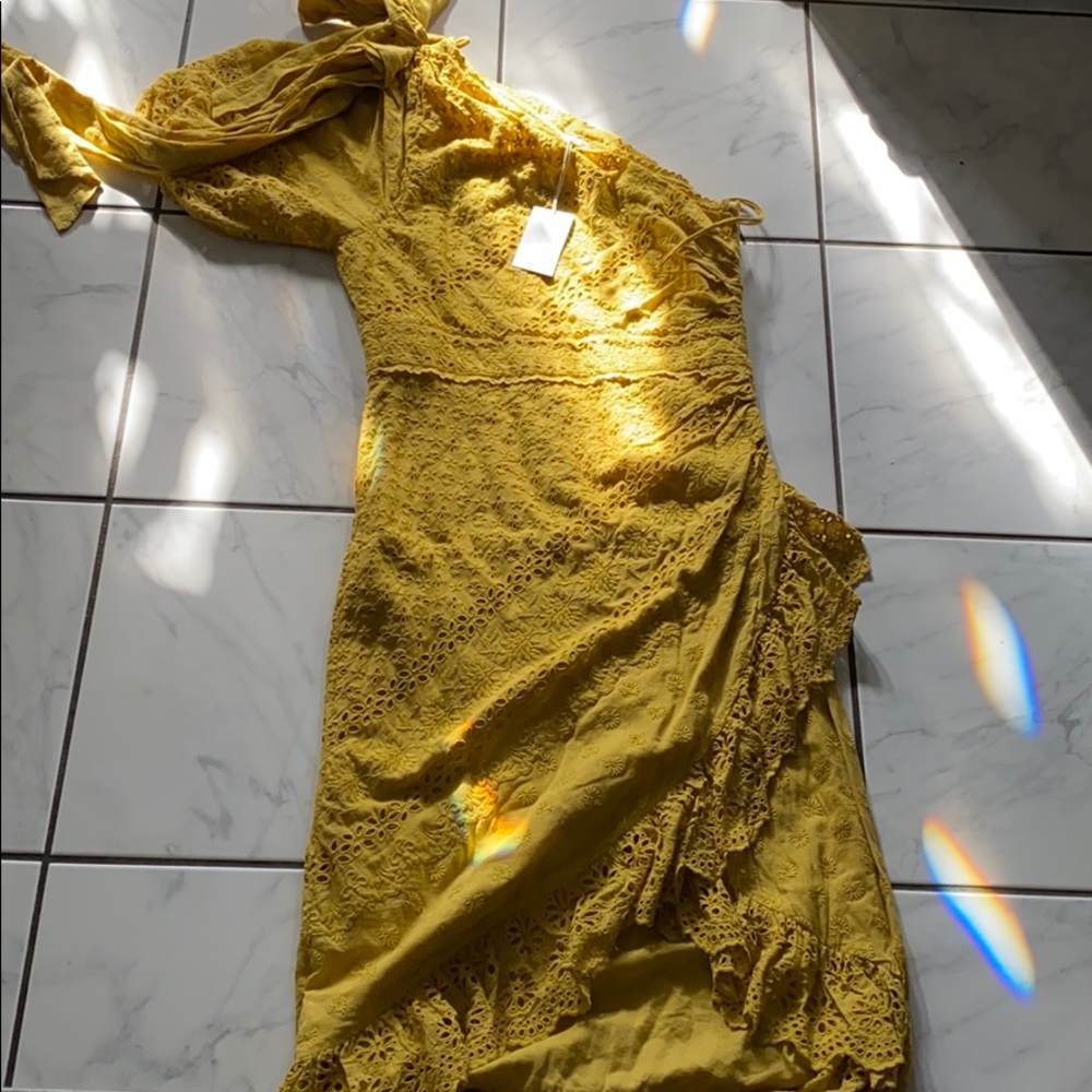 Ulla johnson dress